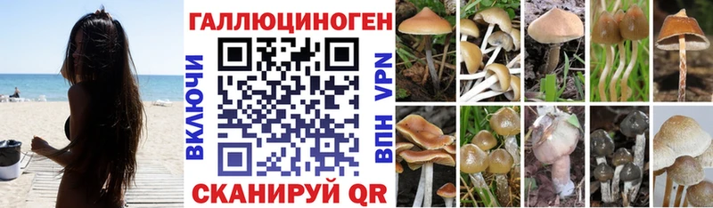Галлюциногенные грибы Psilocybine cubensis  ОМГ ОМГ tor  Питкяранта  цена  